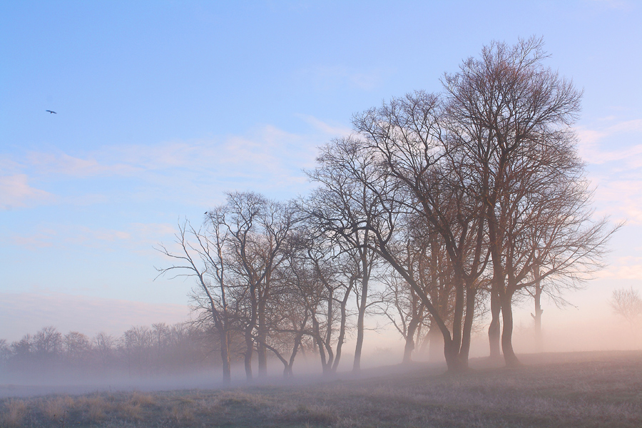 Фото жизнь (light) - Михаил Корнилов - корневой каталог - ***