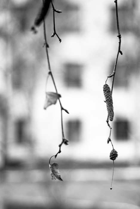 Фото жизнь (light) - Юлия Фетисова - корневой каталог - Autumn