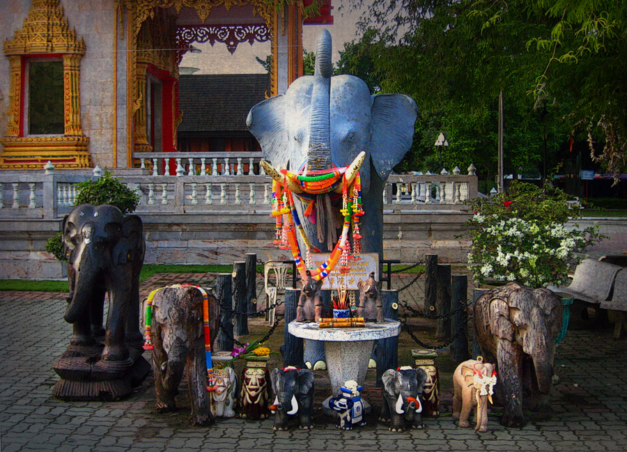Фото жизнь (light) - Maria V. Gorskaya - ТАИЛАНД - Много-много слонов, больших и маленьких