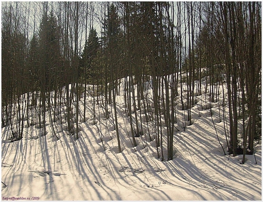 Фото жизнь
