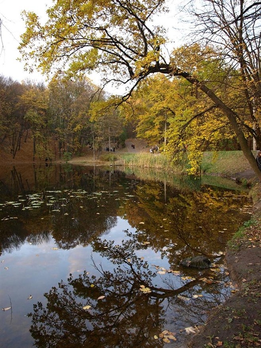 Фото жизнь
