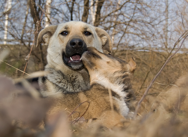 Любовь.