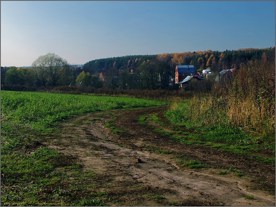 Фото жизнь