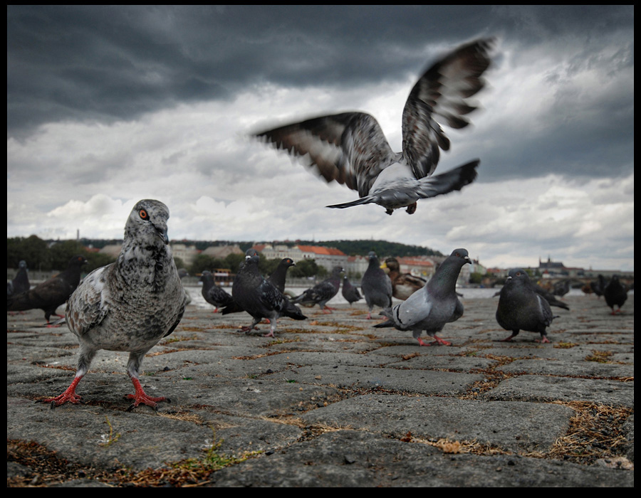 Фото жизнь (light) - EddiGer - корневой каталог - 10mm....