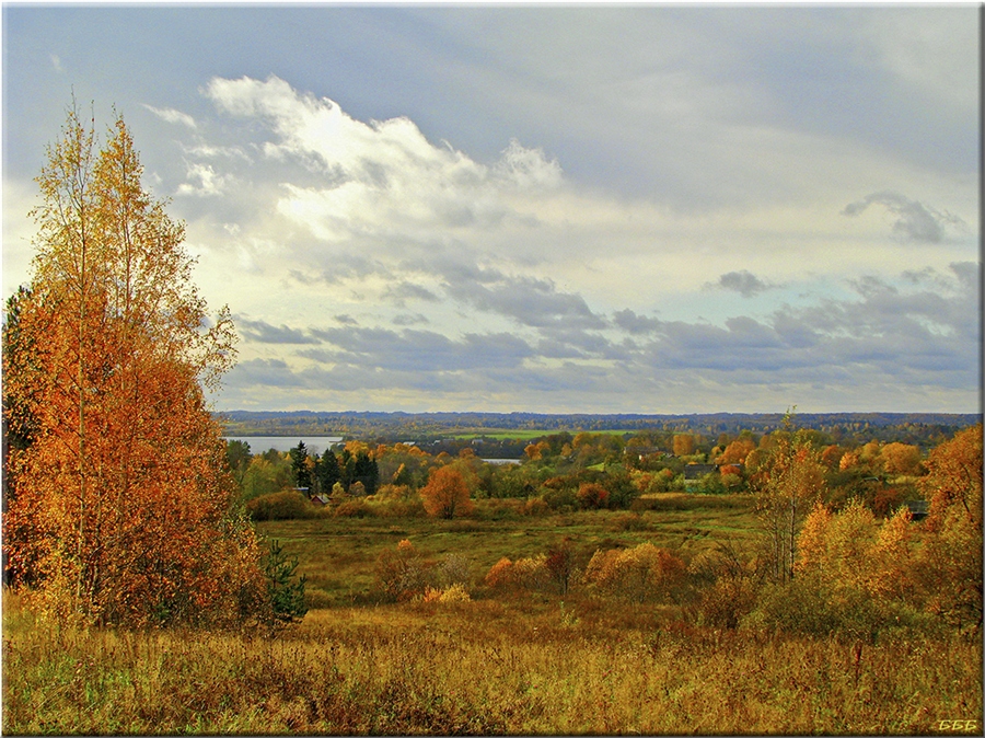 Фото жизнь