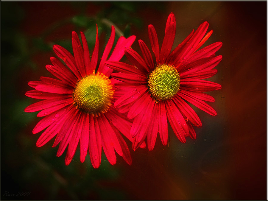 Фото жизнь (light) - Raisa Rare - Моя Запрудня!  - Двое.