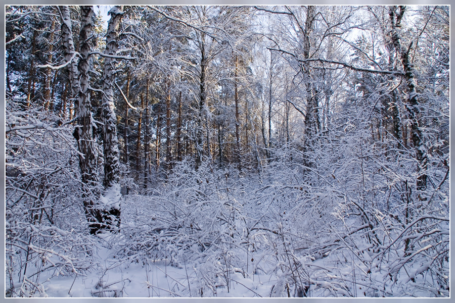 Фото жизнь (light) - Александр Крупский - корневой каталог - Первый снег октября