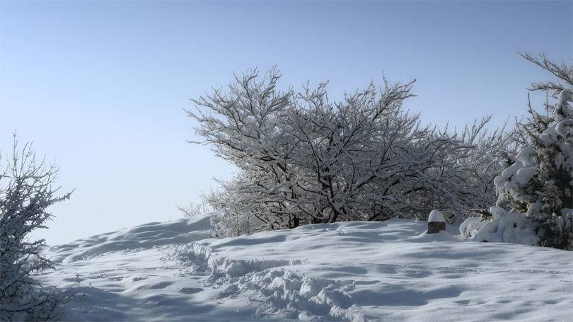 Фото жизнь (light) - mystera - Winter Landschaft. -  Stille...