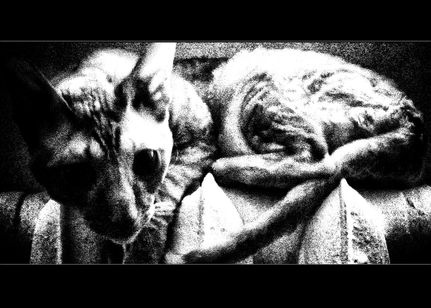 Фото жизнь (light) - Key Gross - корневой каталог - 0050