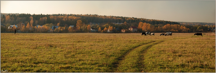 Фото жизнь