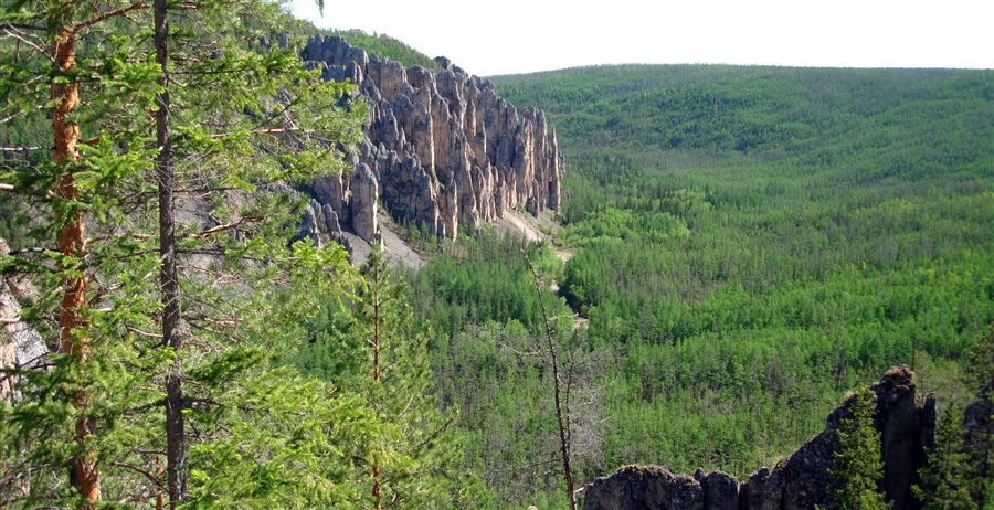 Фото жизнь