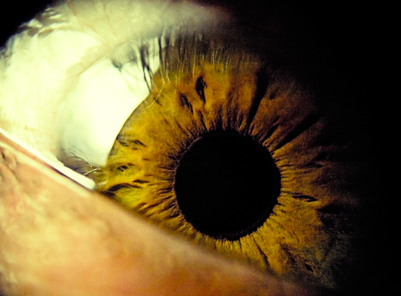 Фото жизнь (light) - Владимир Лукьянов - Разное - Eye