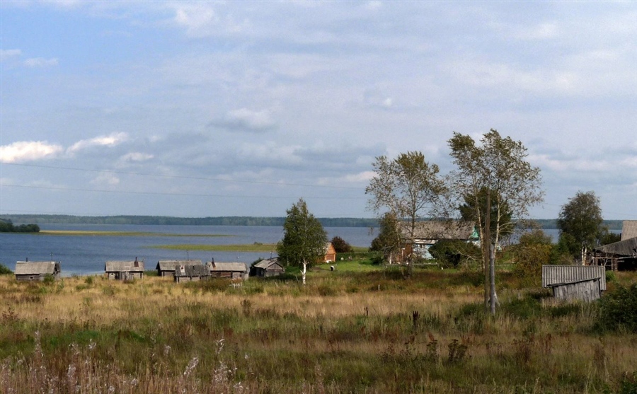 Фото жизнь