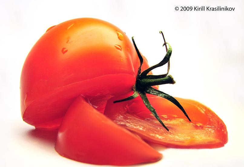 Фото жизнь (light) - KRAS - Tomato life - "Tomato life"