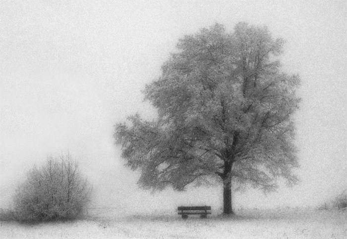 Фото жизнь - mystera - Winter Landschaft. - ***