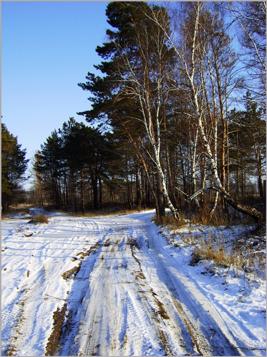 Фото жизнь