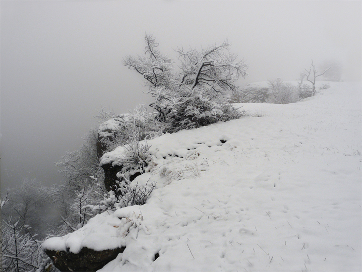 Фото жизнь - mystera - Winter Landschaft. - ***