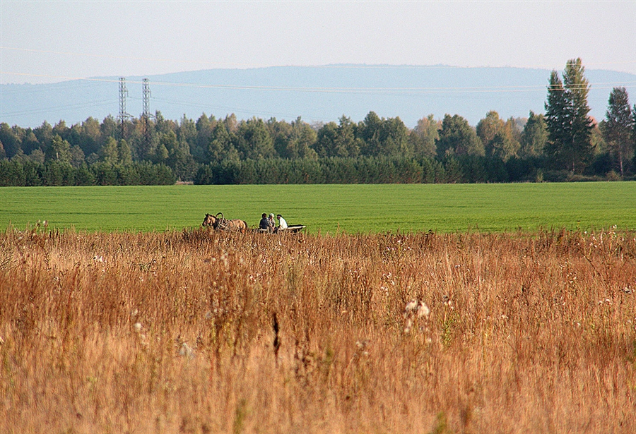 Фото жизнь