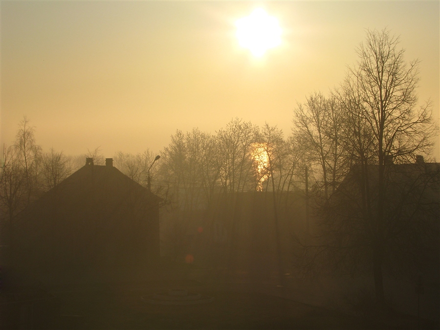 Фото жизнь