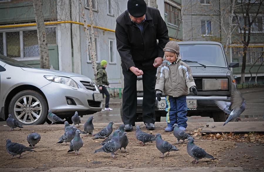 Фото жизнь