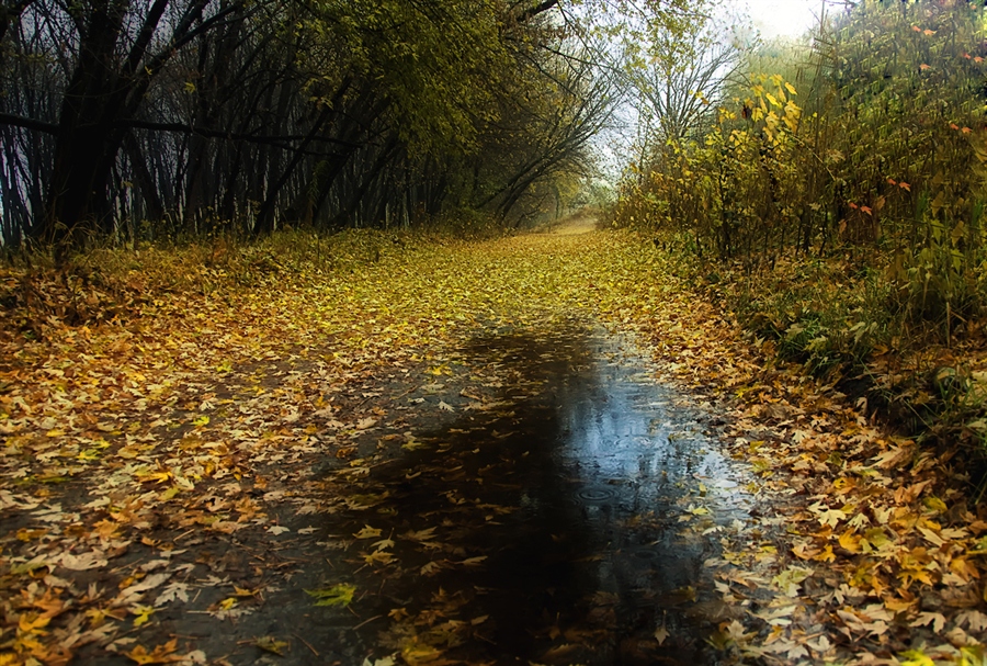 Фото жизнь