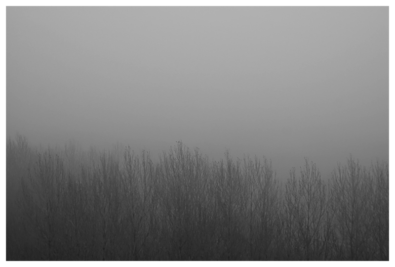 Фото жизнь (light) - Oksya - Природа - стоял над городом туман...