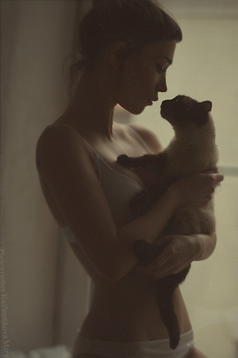 Фото жизнь (light) - Mary Kuzmenkova - корневой каталог - Cats