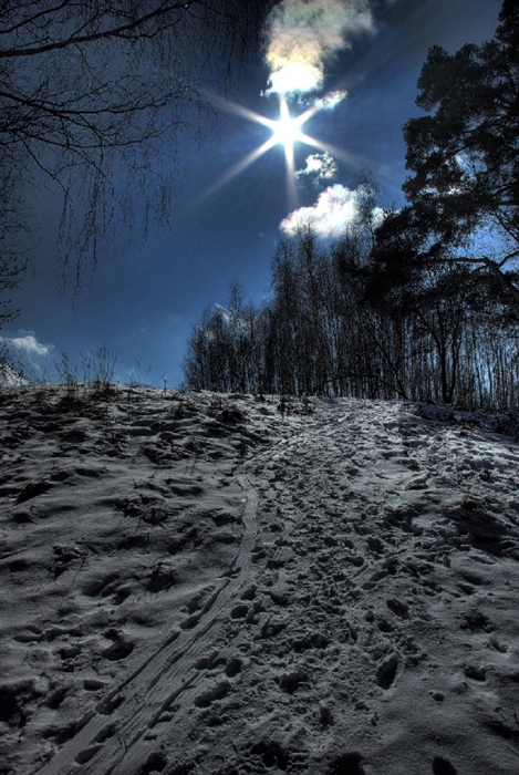 Фото жизнь