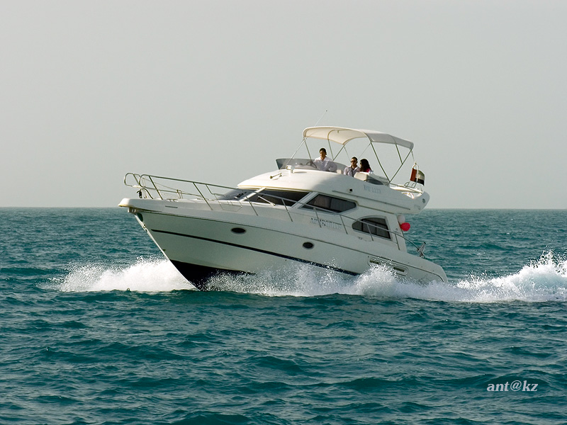 Фото жизнь (light) - Ant_kz - корневой каталог - По волнам...