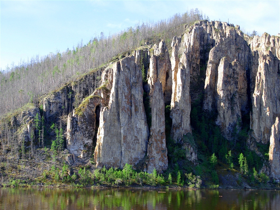 Фото жизнь