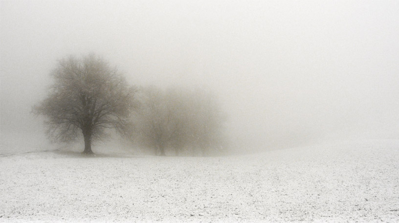 Фото жизнь (light) - mystera - Winter Landschaft. - ***(это непушистая белая...это только его предвестники)