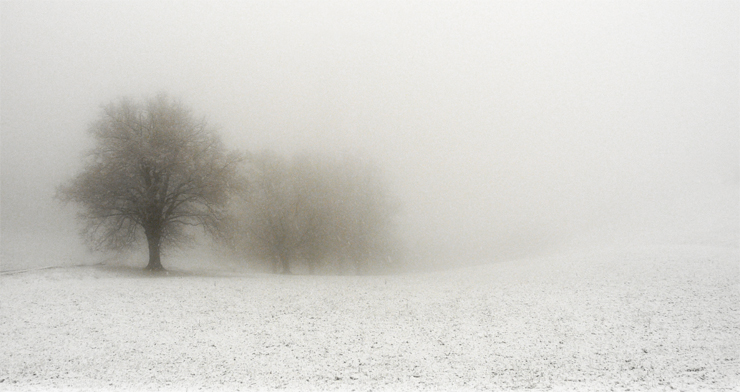 Фото жизнь (light) - mystera - Winter Landschaft. - ***(это непушистая белая...это только его предвестники)