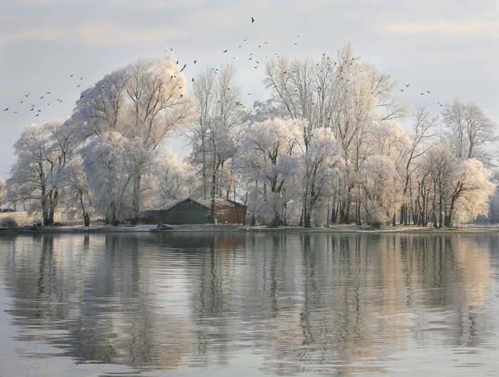 Фото жизнь (light) - Melonik - Landscape - Зима на юге Германии