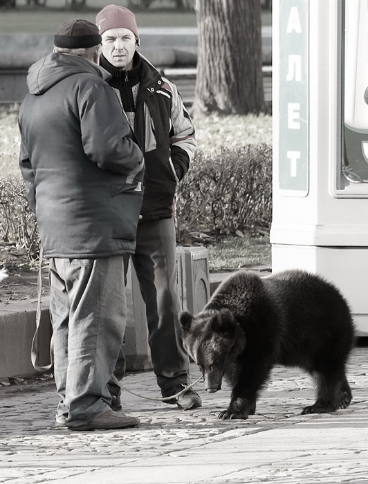 Фото жизнь