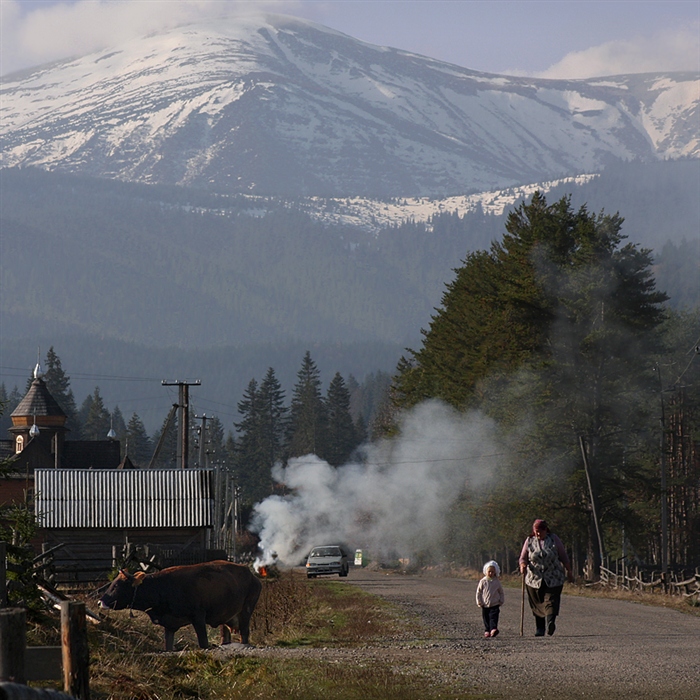 Фото жизнь