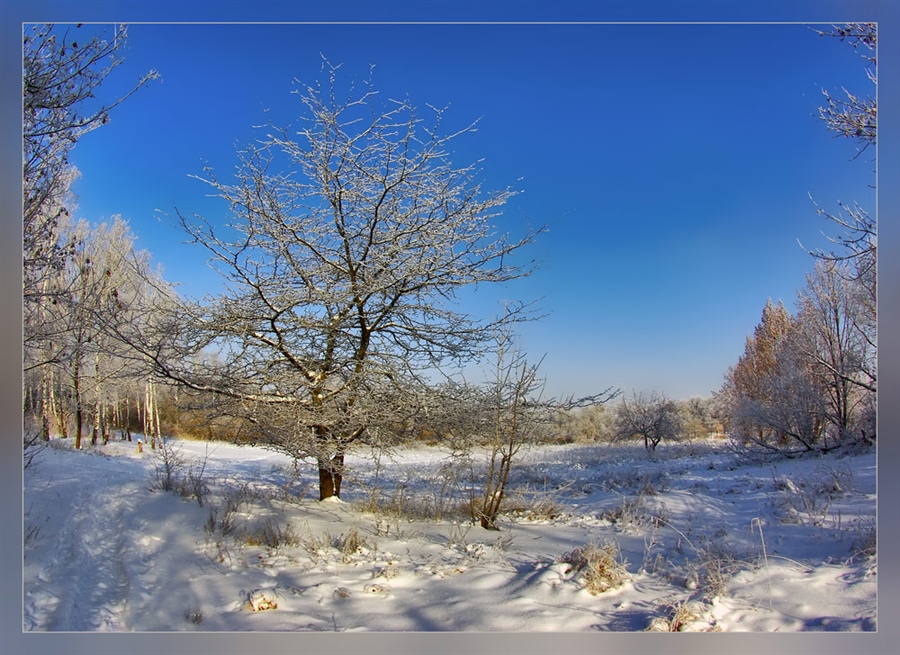 Фото жизнь