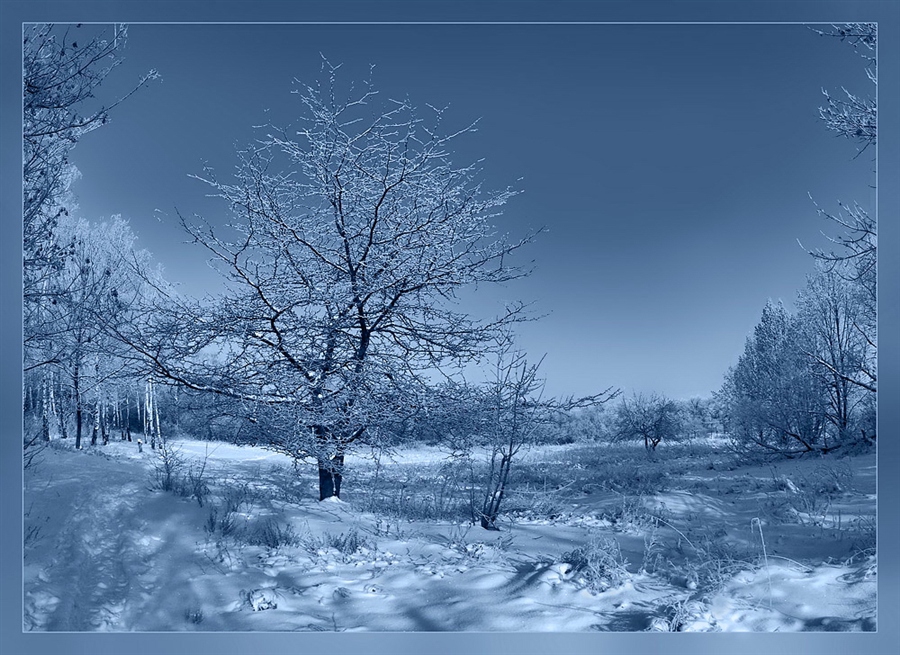 Фото жизнь