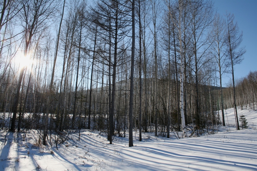 Фото жизнь