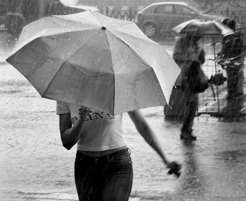 Фото жизнь (light) - al.avdeev - корневой каталог - дождь