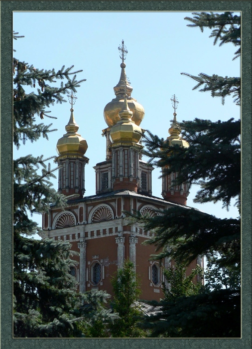 Фото жизнь