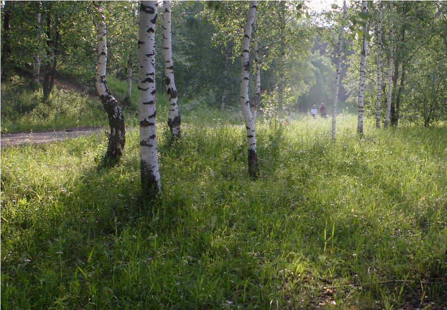 Фото жизнь