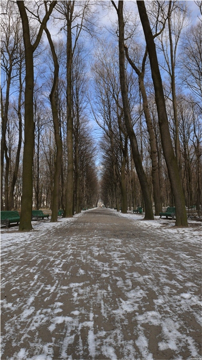 Фото жизнь