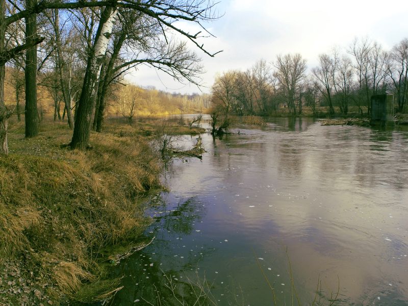Фото жизнь (light) - Yaroslav - корневой каталог - Весна или...