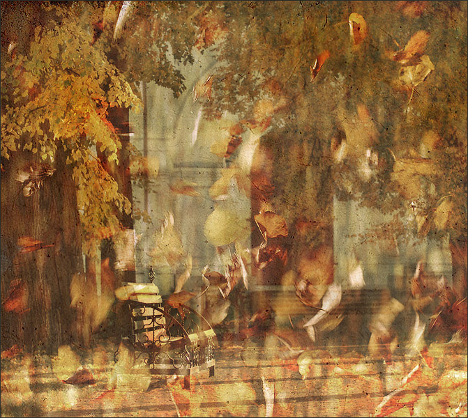 Фото жизнь - Luluka - Свой взгляд - Танцует осень вальс-бостон...