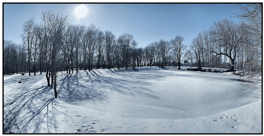 Фото жизнь