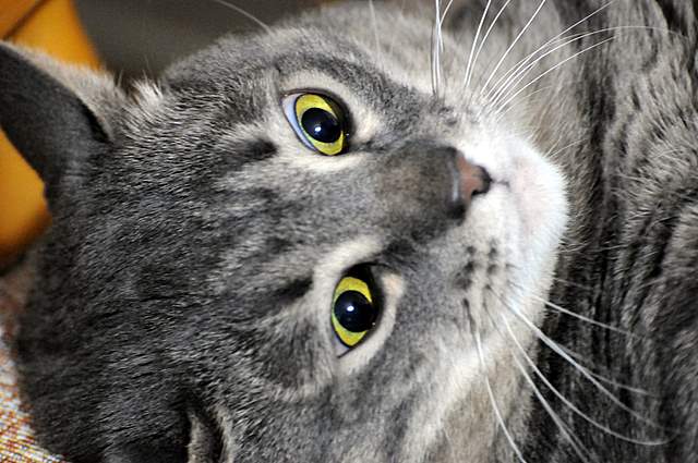 Фото жизнь (light) - Борис Ганцелевич - Простые зарисовки - Взгляд на жизнь...