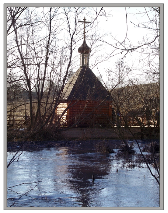 Фото жизнь