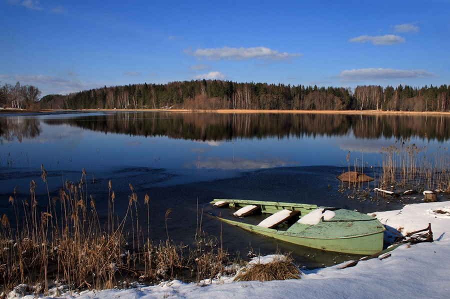Фото жизнь