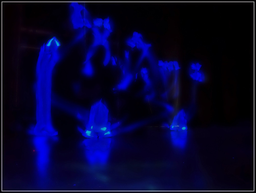 Фото жизнь (light) - FoxEvil - Photo Art - призраки неона...