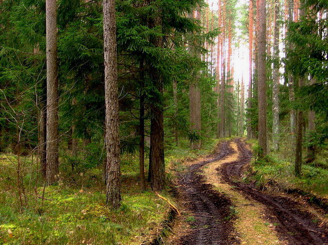 Фото жизнь